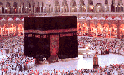 Muslim Student Associations & Other Groups 